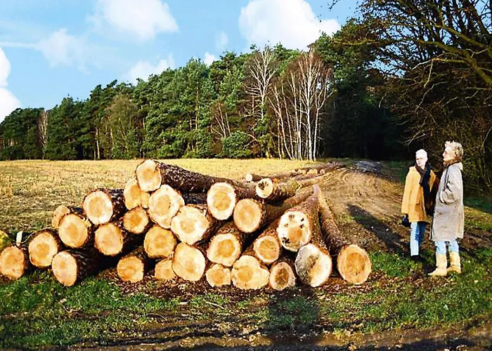 Apartment Ferienwohnung, Beetzseeheide